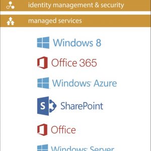 msbanner33x90_100scale copy_1800